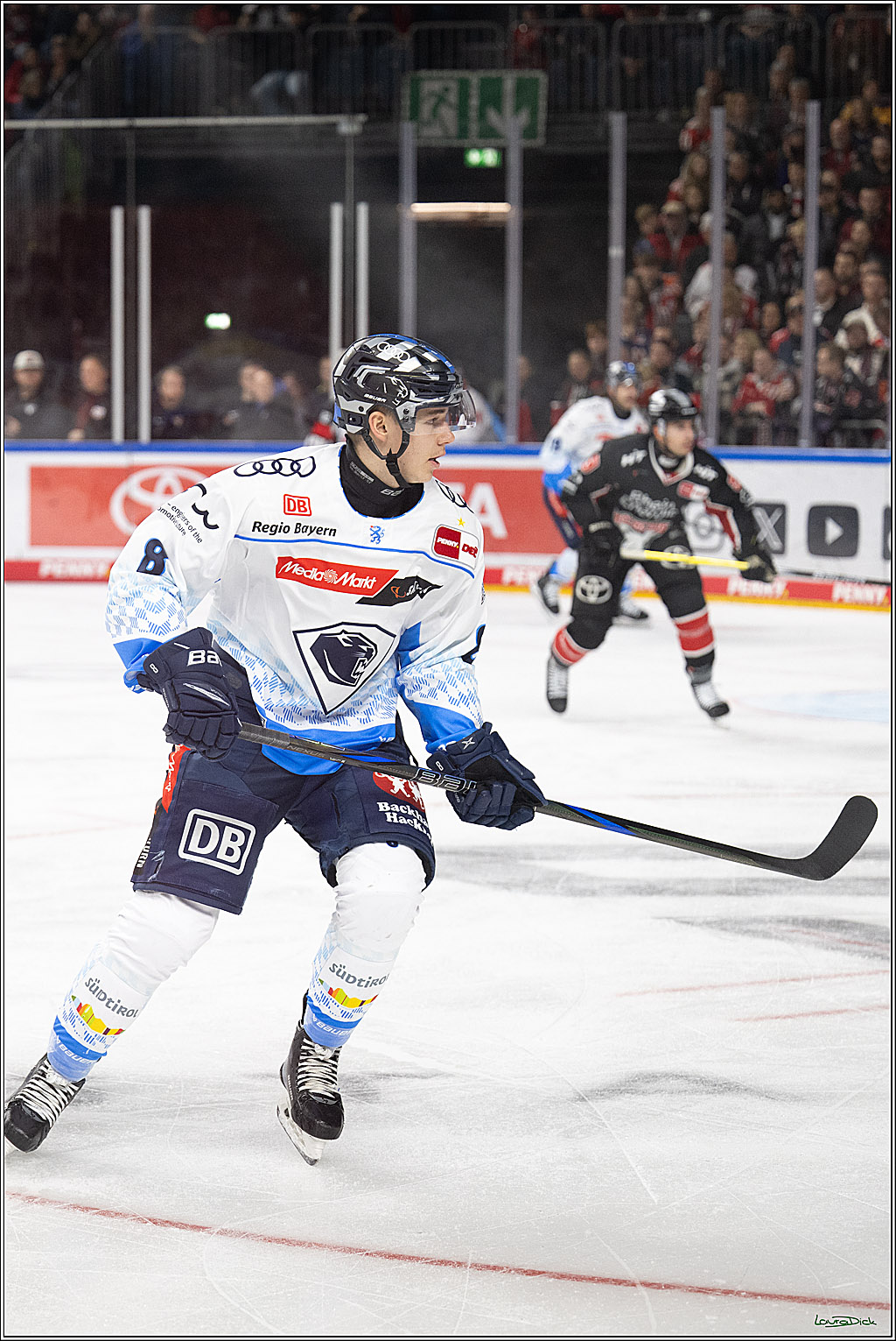 PENNY DEL; Koelner Haie-ERC Ingolstadt; Koeln, 22.11.2024